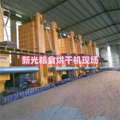 新光糧食烘干機現(xiàn)場 新光糧食烘干機現(xiàn)場